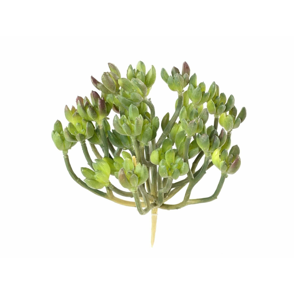 Plante artificielle Succulente en piquet - cactus vert artificiel intérieur - H.13cm M1