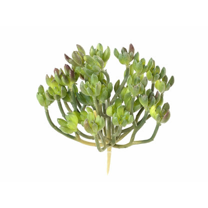 Plante artificielle Succulente en piquet - cactus vert artificiel intérieur - H.13cm M1