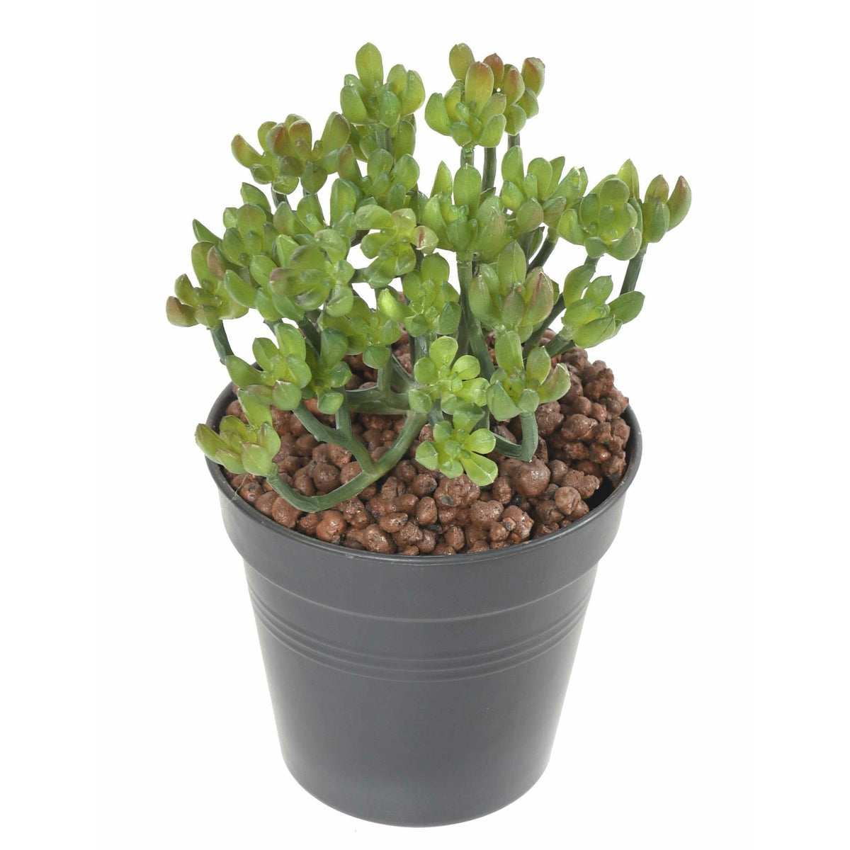 Plante artificielle Succulente en piquet - cactus vert artificiel intérieur - H.13cm M1