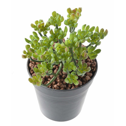 Plante artificielle Succulente en piquet - cactus vert artificiel intérieur - H.13cm M1