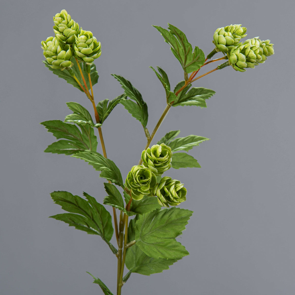 Tige artificielle Houblon – composition florale - H.78cm vert-R2
