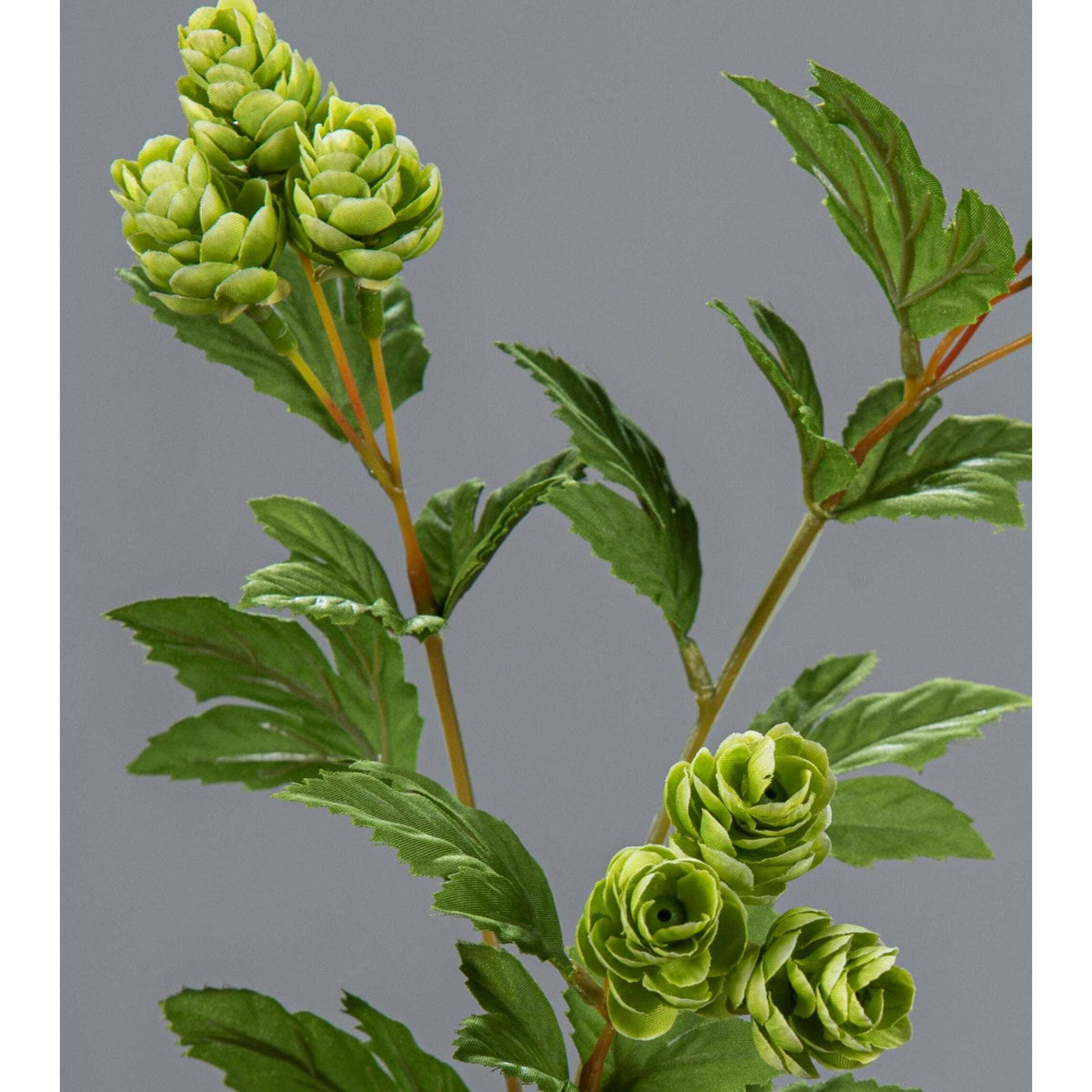 Tige artificielle Houblon – composition florale - H.78cm vert-R2